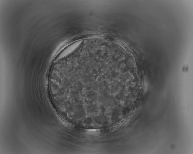 X0000097620053200803281046