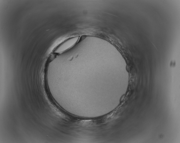 X0000097620054200803281046