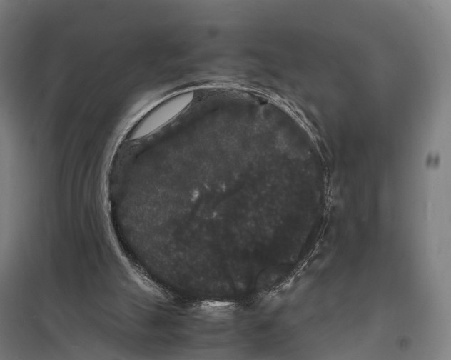 X0000097620055200803281046