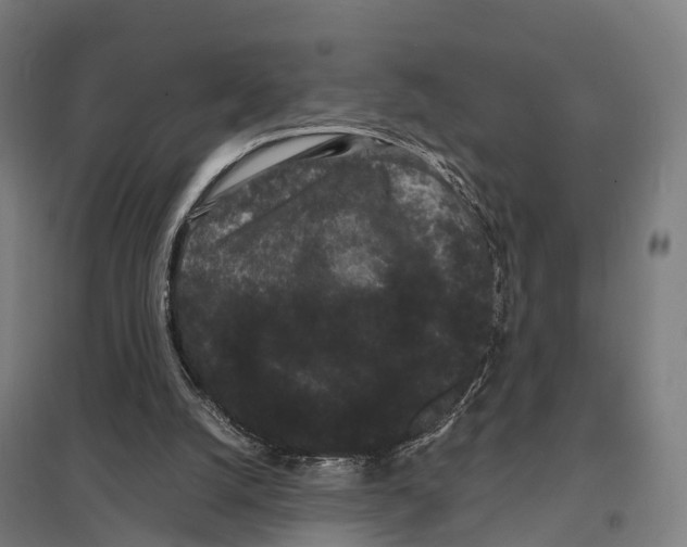 X0000097620056200803281046