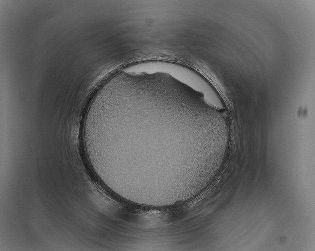X0000097620058200803281046