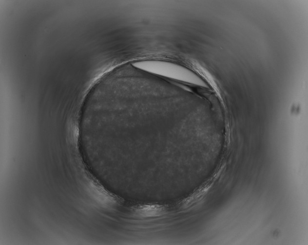 X0000097620059200803281046