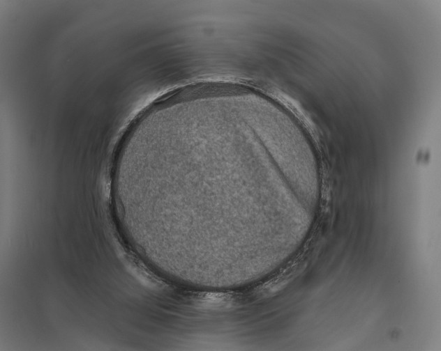 X0000097620060200803281046
