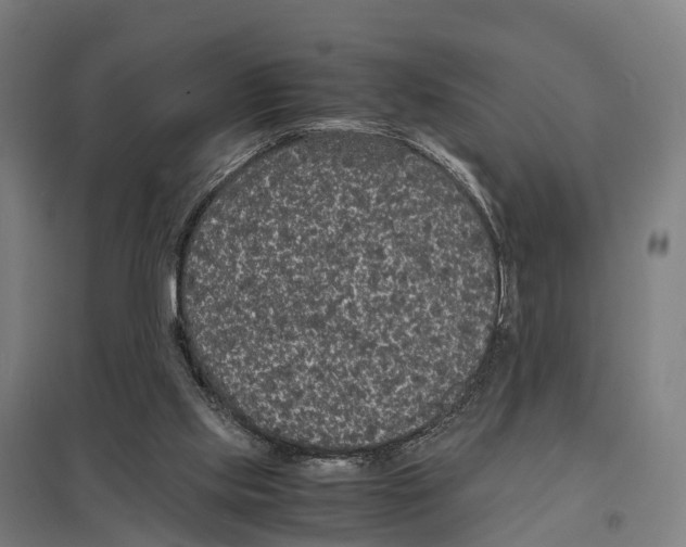 X0000097620061200803281046
