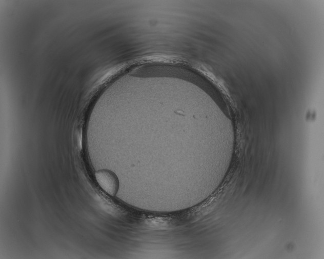 X0000097620062200803281046
