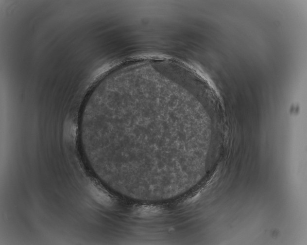 X0000097620063200803281046