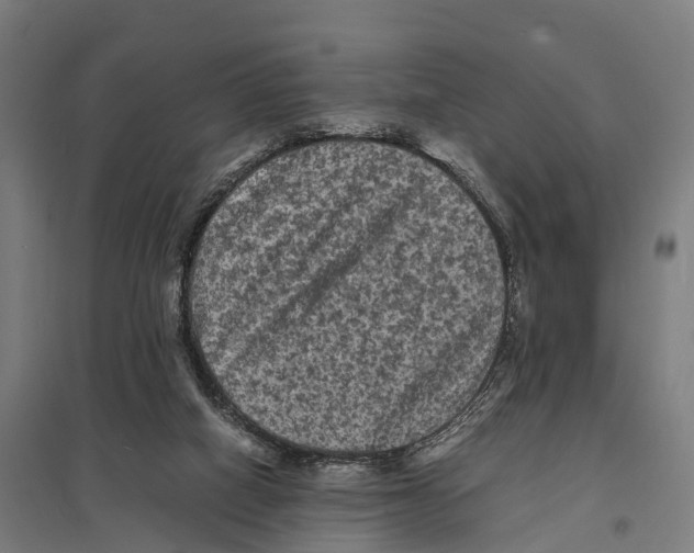 X0000097620066200803281046