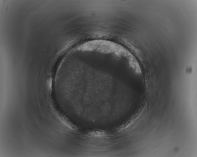 X0000097620067200803281046