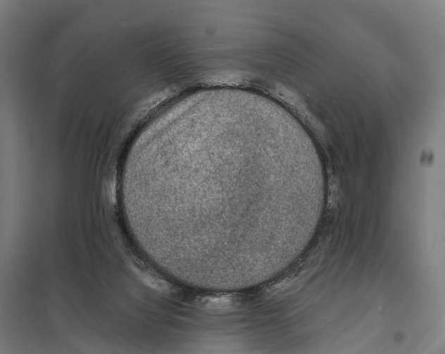 X0000097620068200803281046