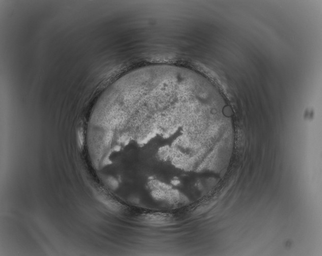 X0000097620069200803281046