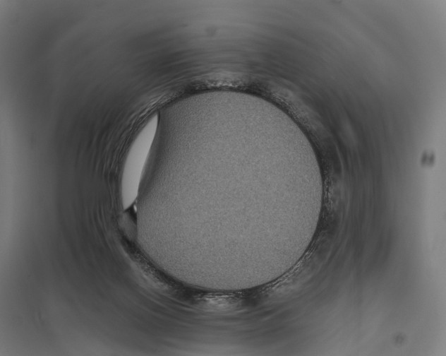 X0000097620070200803281046