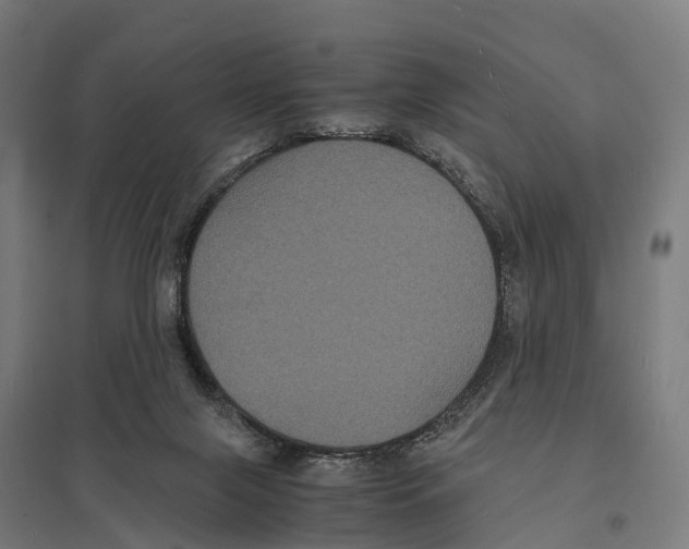 X0000097620071200803281046