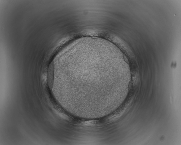 X0000097620072200803281046