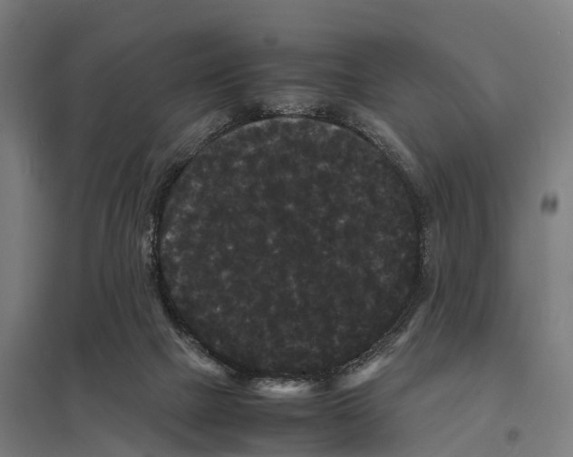 X0000097620073200803281046