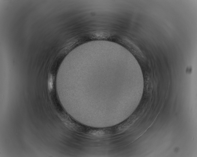 X0000097620075200803281046