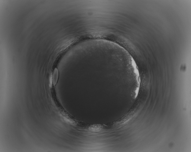 X0000097620076200803281046