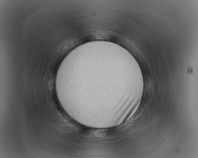X0000097620078200803281046