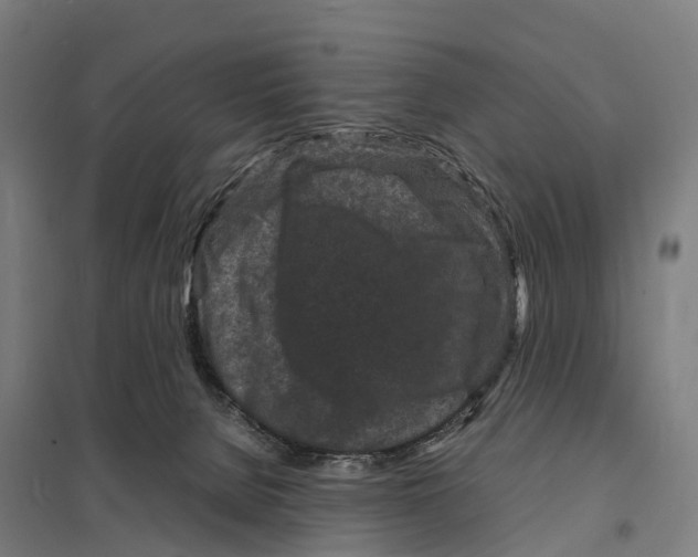 X0000097620080200803281046
