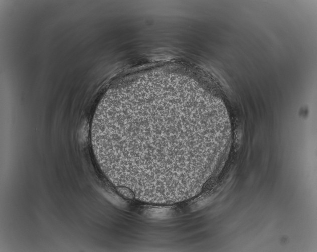 X0000097620081200803281046