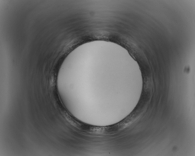 X0000097620084200803281046