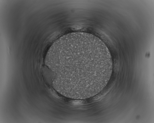 X0000097620085200803281046
