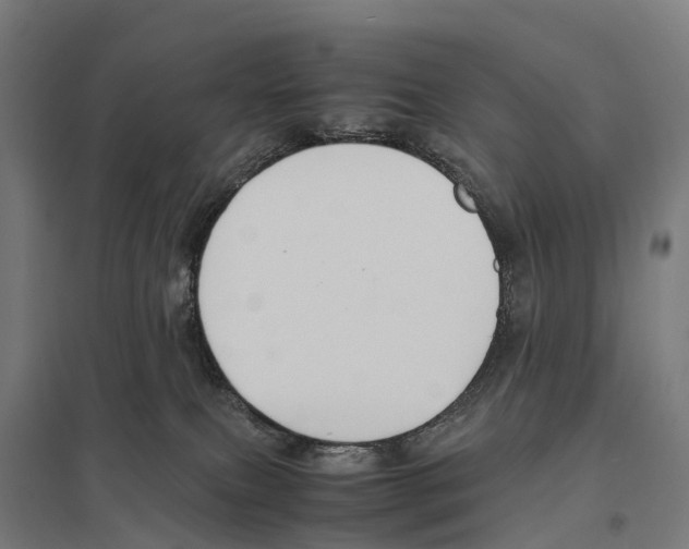 X0000097620087200803281046