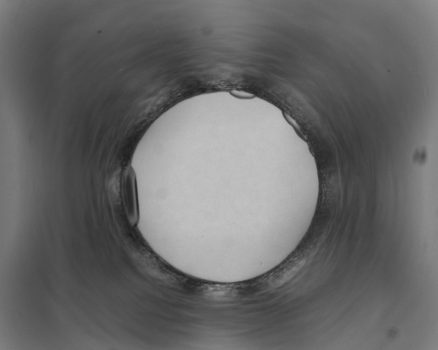 X0000097620088200803281046