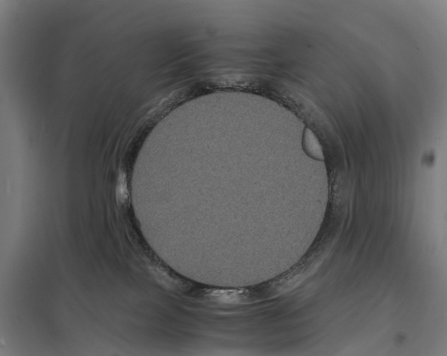 X0000097620089200803281046