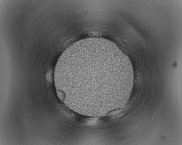 X0000097620090200803281046