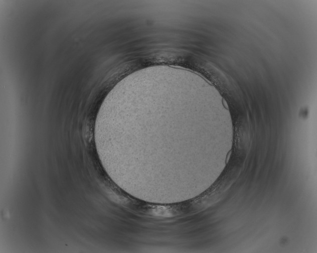 X0000097620091200803281046