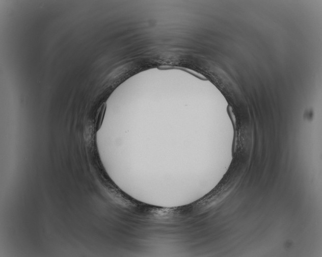 X0000097620092200803281046