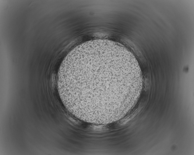 X0000097620093200803281046