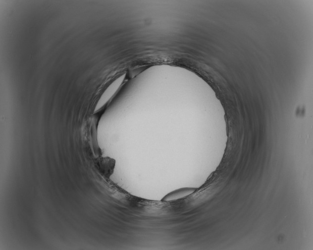 X0000097620096200803281046