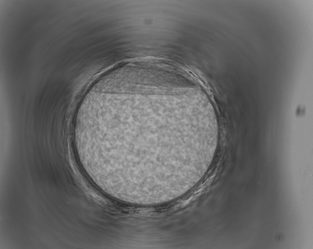 X0000097620097200803281045