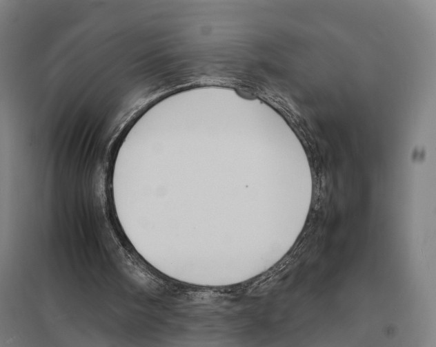 X0000097620098200803281045