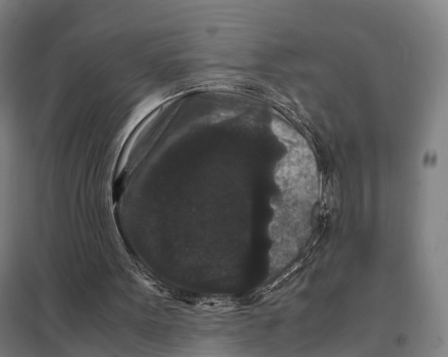 X0000097620099200803281045