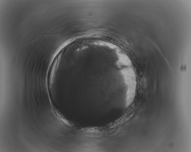 X0000097620100200803281045