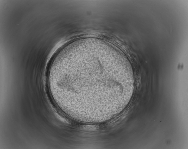 X0000097620102200803281045