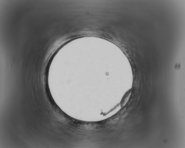 X0000097620103200803281045