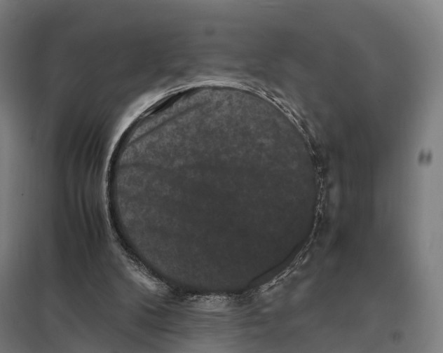X0000097620104200803281045