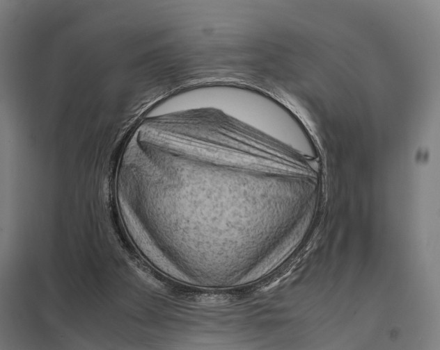X0000097620105200803281045