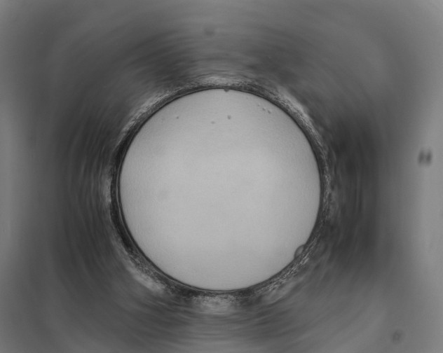 X0000097620106200803281045