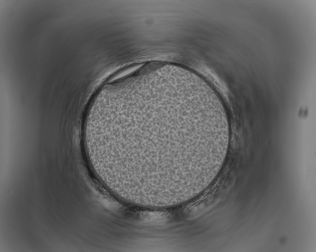 X0000097620107200803281045