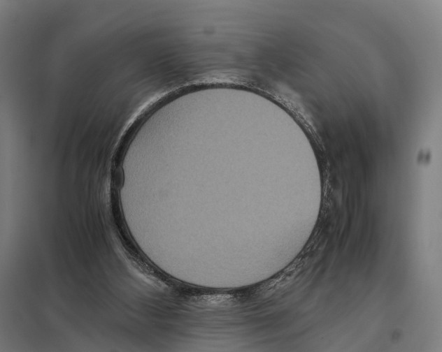 X0000097620108200803281045