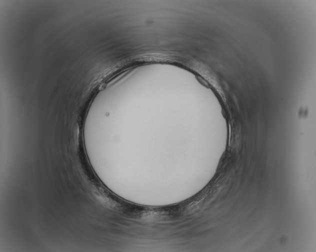X0000097620109200803281045