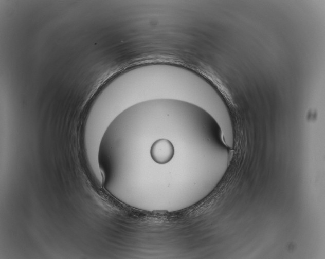 X0000097620110200803281045