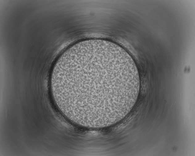 X0000097620111200803281045
