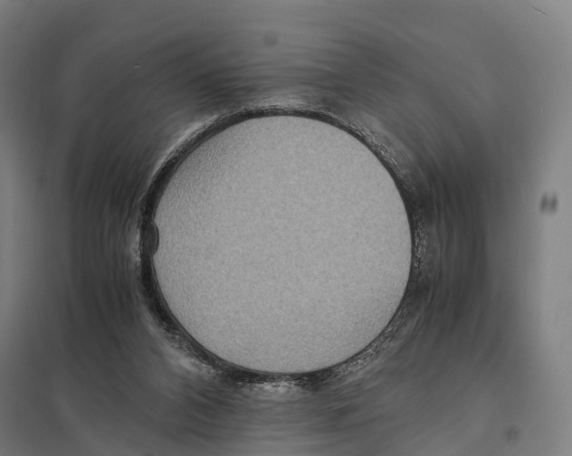 X0000097620112200803281045