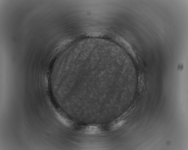 X0000097620114200803281045