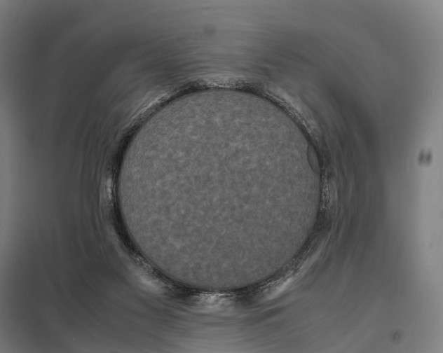X0000097620117200803281045